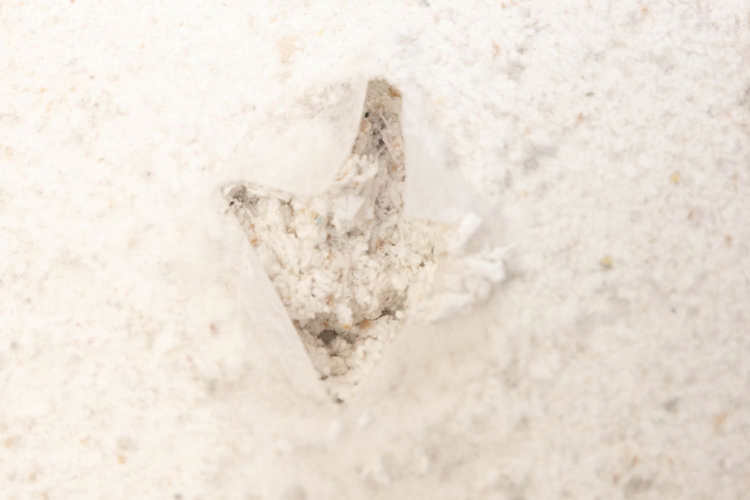 FIC_Content Creation_11-12-25_Photos-6